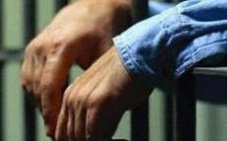 Siirt E Tipi Kapalı Ceza İnfaz Kurumu Görüşmesi Hakkında Notlar