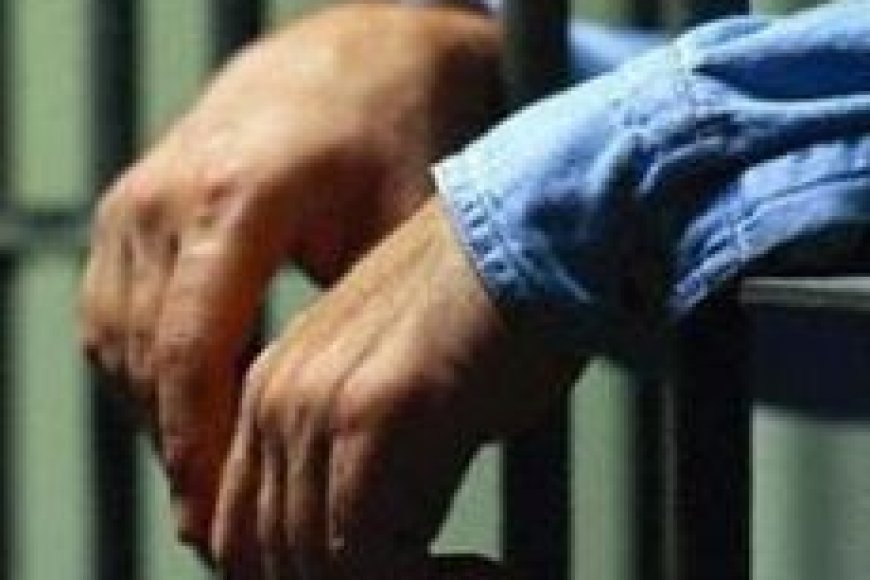 Kandıra 1 Ve 2 Nolu F Tipi İle 1 Nolu T Tipi Yüksek Güvenlikli Ceza İnfaz Kurumlarında Yapılan Görüşmelerin Notları