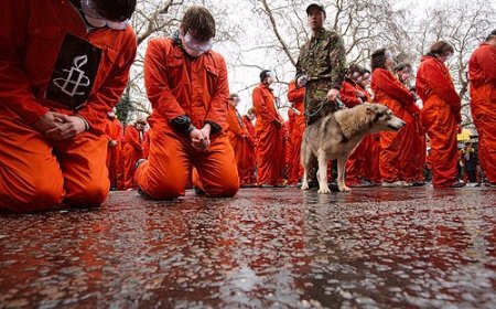 Guantanamo’da Yemenli Adnan Ferhan Abdullatif’in Şaibeli Ölümü, Adil ve Bağımsız Bir Soruşturmayla Aydınlanmalıdır!