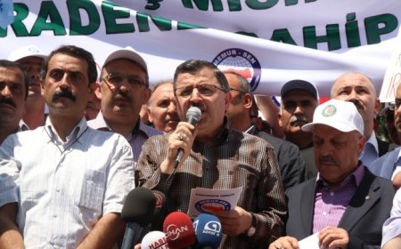 MAZLUMDER, MEMURSEN ve HAK İŞ'TEN MISIR HALKI İLE DAYANIŞMA EYLEMİ