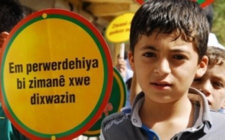 Anadilde Hizmet Almak Hak, Vermek Yükümlülüktür