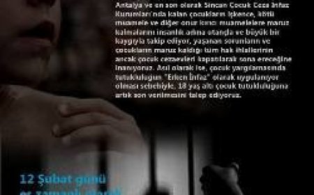 B A S I N  A Ç I K L A M A S I N A D A V E T