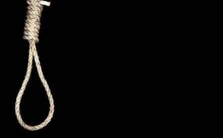 1200 İNSAN İDAM EDİLMEDEN BİRŞEY YAPMALI!