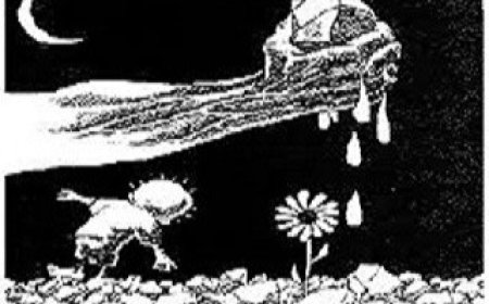 FİLİSTİN HALKI İLE DAYANIŞMA İÇİN GIYABİ CENAZE NAMAZI DUA VE BASIN AÇIKLAMASI