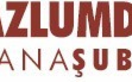 İŞİD’İ VE ABD’Yİ LANETLİYORUZ