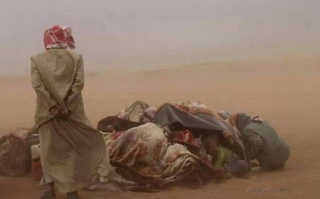 MAZLUMDER KOBANE SINIRINDA