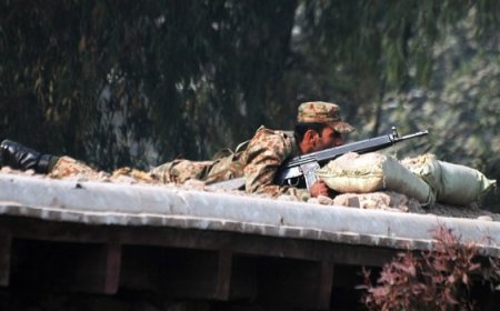 Daha fazla insan ölmeden Pakistan ve Taliban arasında görüşmeler yeniden başlatılmalıdır