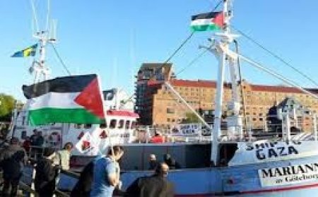 Özgürlük filosuna  yapılan haksız ve hukuksuz saldırıyı kınıyoruz!