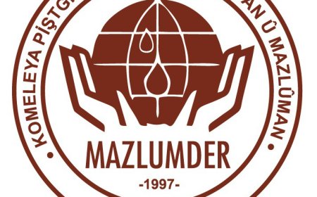 7 HAZİRAN 2015 GENEL SEÇİMLERİ MAZLUMDER VAN ŞUBESİ                     SEÇİM GÖZLEM ÇALIŞMASI