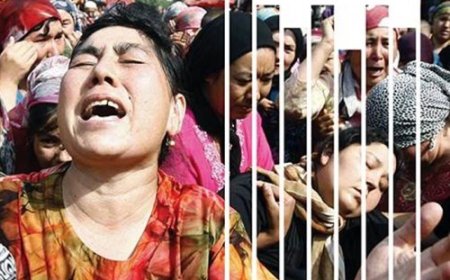 Doğu Türkistan İnsan Hakları Raporu