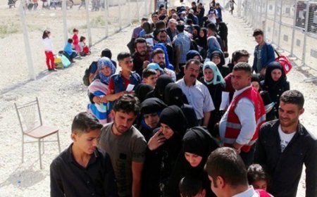 Mültecilerin Zorla Geri Gönderilmesi Kabul Edilemez!