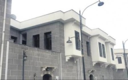 SUR İLÇESİ MAĞDURLARI HAKKINDA