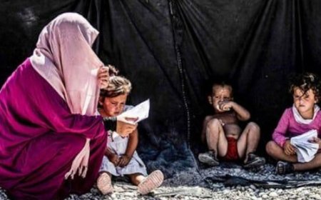 Hol ve Roj Kamplarında Kalan Kadın ve Çocuklara Dair Değerlendirme