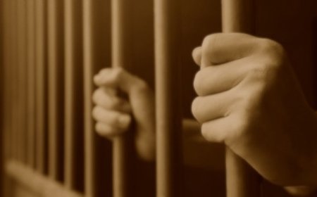 ADANA F TİPİ CEZAEVİNDEKİ İŞKENCE İDDİALARI