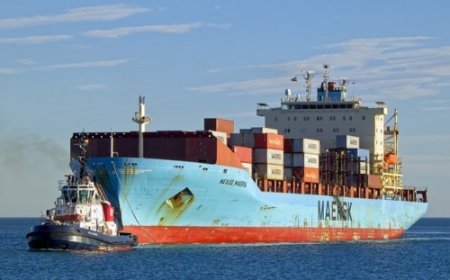 İsrail’e Maersk Tarafından Gerçekleştirilecek F-35 Parça Sevkiyatına Karşı Yapılan Hukuki Girişimler Hakkında Kamuoyu Bildirisi