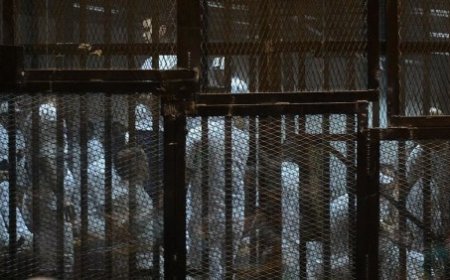 25 Ocak Mısırlı Tutuklular Günü Açıklaması