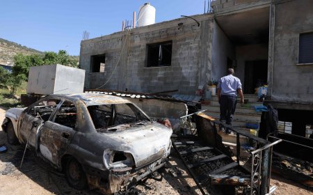 İşgalci Yerleşimcilerin Filistin Halkına Yönelik Sistematik Hak İhlalleri Son Bulmalıdır